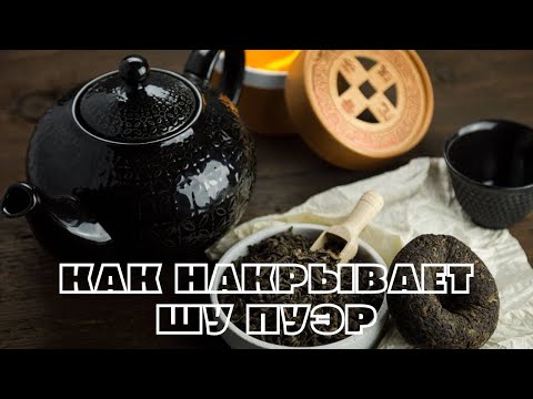 Видео: КАК НАКРЫВАЕТ ШУ ПУЭР