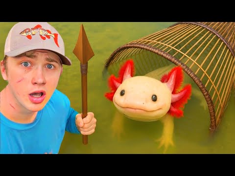 Видео: Я поймал аксолотлей в примитивную ловушку для рыбы!