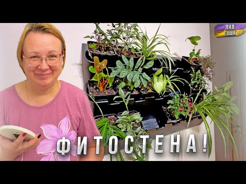 Видео: У нас теперь есть ФИТОСТЕНА! А вы знаете, что это такое? Обновления в доме!