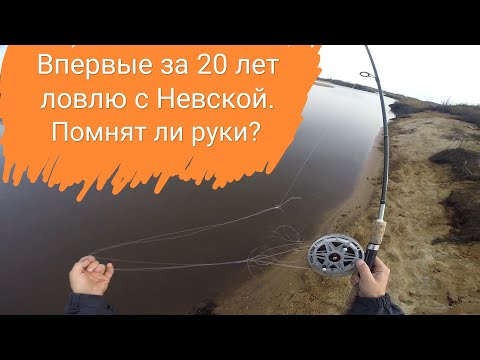 Видео: Ловлю с Невской катушкой впервые за двадцать лет. Помнят ли руки?