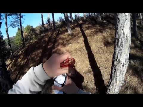 Видео: Професионален туристически хамак за планина, море и градина от RAMS DIVING