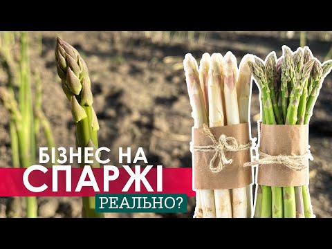 Видео: Вирощування спаржі. Аспарагус - бізнес, смачно та корисно