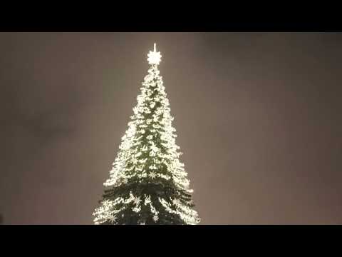 Видео: Предновогодний Петербург. Декабрь 2023