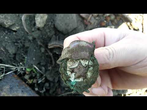 Видео: Коп с глубинником Клон pi-w и Сталкер pi в поле