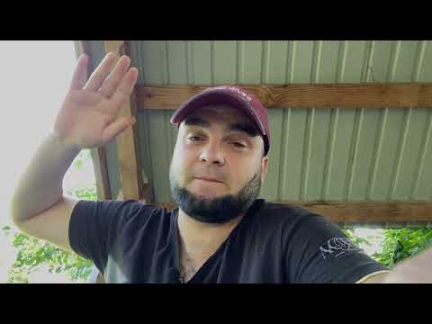 Видео: Продаю Всех Голубей