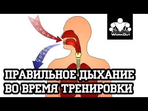 Видео: Правильное дыхание при выполнении упражнений | Антон Кучумов | SOTKA - День 9