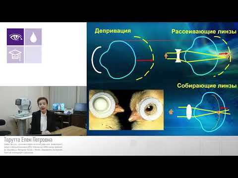 Видео: Тарутта. Рациональный алгоритм профилактики и лечения прогрессирующей миопии