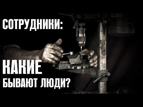 Видео: Сотрудники: Какие бывают люди