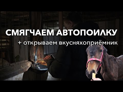 Видео: ЛАЙФХАК: как сделать язычок автопоилки более мягким