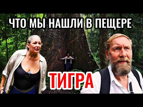 Видео: ЧТО МЫ НАШЛИ В ПЕЩЕРЕ ТИГРА!