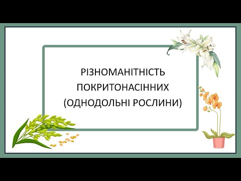 Видео: Різноманітність Покритонасінних (Однодольні рослини)