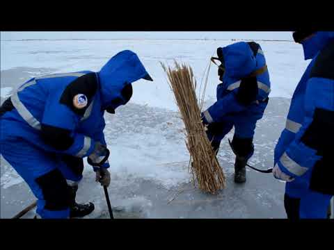 Видео: Дедовский способ зимней аэрации пруда с помощью камыша №1