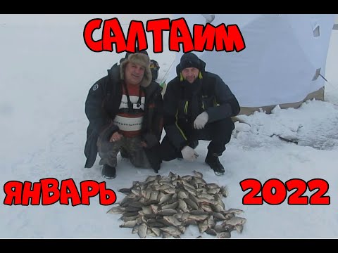 Видео: Салтаим зимняя рыбалка январь 2022 карась атакует лунки