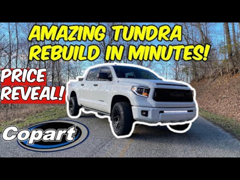 Видео: ПОЛНОЕ ПРЕОБРАЖЕНИЕ РАЗРУШЕННОЙ ТУНДРЫ ЗА СЧИТАННЫЕ МИНУТЫ!