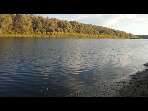 Видео: Река Обь, протока 26 июля.Рыбалка на донки и поплавочную удочку.