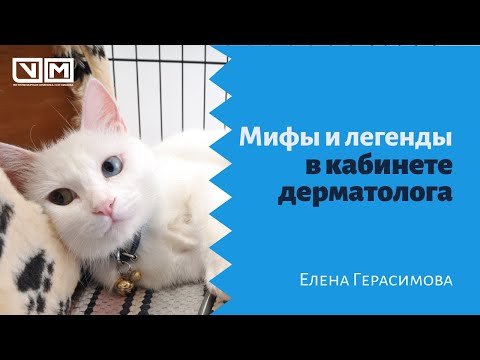 Видео: Мифы и легенды в кабинете дерматолога