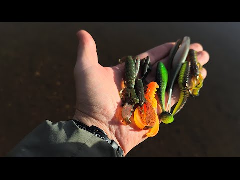 Видео: Мягкие плавающие приманки, протестированные под водой