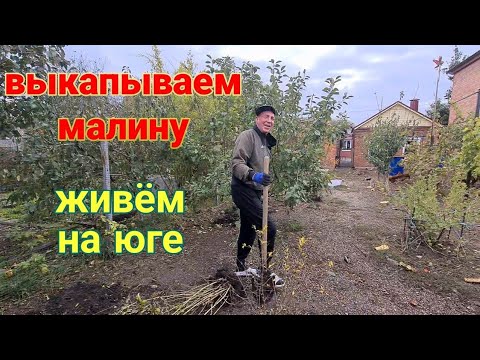 Видео: Ейск🌹Выкапываем малину. Дела по кухне и заготовкам. Ремонт и работа Олега.
