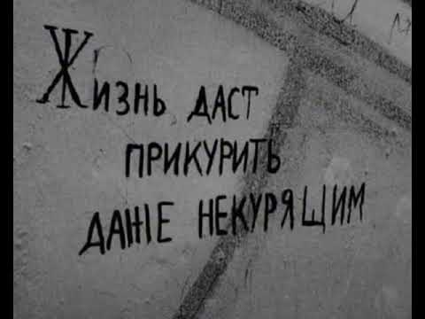 Видео: Шнапс ака рохати - фикрои солим