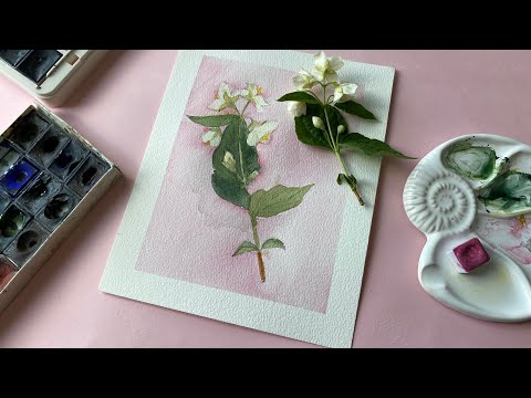 Видео: Жасмин рисунок. Рисуем поэтапно акварелью