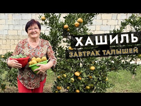 Видео: ☀️ Ответы на вопросы и Хашиль — завтрак талышей 🌿✨