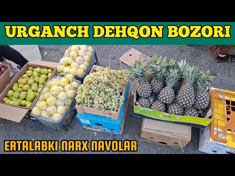 Видео: УРГАНЧ ДЕХКОН БОЗОРИ ЭРТАЛАБКИ НАРХЛАР | URGANCH DEHQON BOZORI 28.09.2025