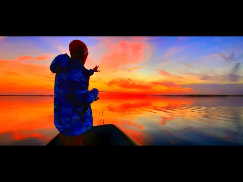 Видео: Веселовское водохранилище конец октября 2020