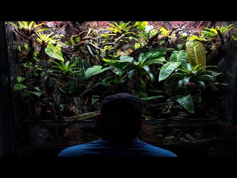 Видео: 300-ГАЛЛОНОВЫЙ ПАЛЮДАРИУМ STORM ГОТОВ!