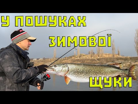 Видео: Важко повірити 😳 я хтів ЩУКУ. ПРИГОДИ на Риболовлі. Рибалка на Спінінг 2023