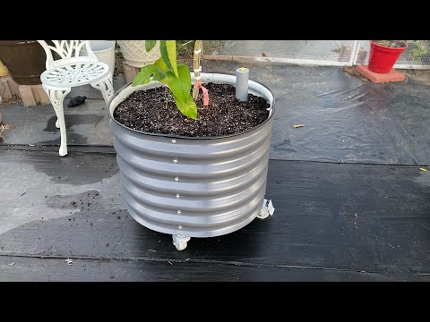 Видео: #VEGO GARDEN Самополивная кашпо на колесах❤️😊💚