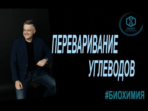 Видео: Биохимия: Переваривание углеводов