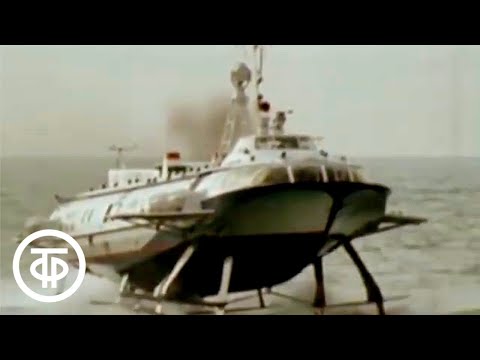 Видео: У самого синего моря. Курортная столица - Сочи (1982)