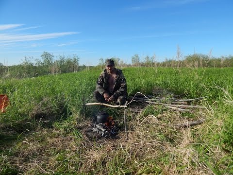 Видео: Язь(ловля сетями)