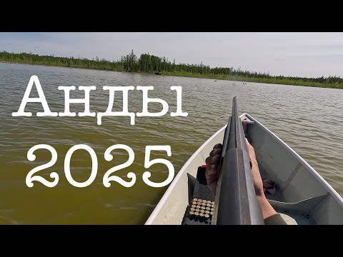 Видео: (маат муут бо5о) Анды 2025