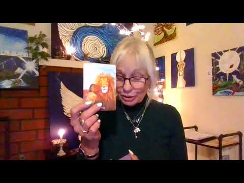 Видео: Рыбы знали, что это произойдет, но до сих пор не осознавали, насколько далеко они готовы зайти!