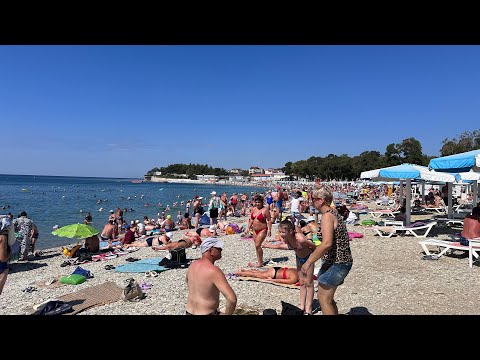 Видео: Поехали в Геленджик-курорт Дивноморское. Гостевой дом. Температура моря. Сколько народу🫣