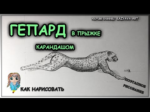 Видео: Как нарисовать гепарда в прыжке карандашом поэтапно. Построение и штриховка в одном видео