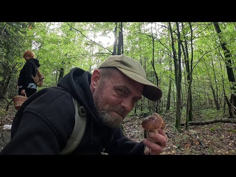 Видео: Ох і ПОНЕСЛО!..З березняка в мох! Товстоногі красені, аж душа співає!