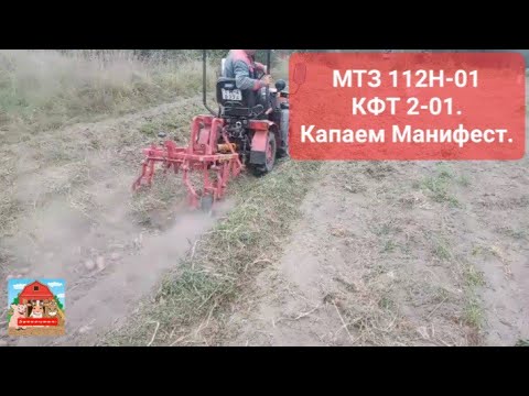 Видео: МТЗ 112Н-01 КФТ 2-01. Капаем Манифест. #МТЗ #миник #трактор #mtz #минитрактор