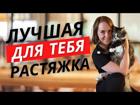 Видео: ГИБКОЕ ТЕЛО ЗА 15 МИНУТ|ПОЛНАЯ РАСТЯЖКА ДЛЯ НАЧИНАЮЩИХ