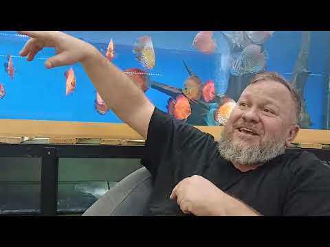 Видео: По следам чемпионата "Дискус 2024".