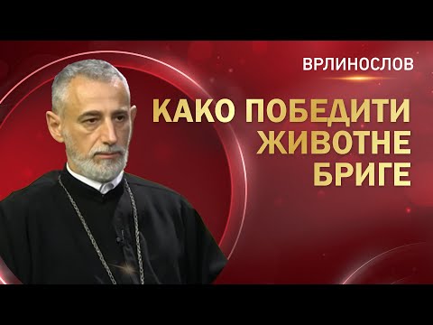 Видео: Врлинослов - Како победити животне бриге, протојереј-ставрофор проф. др Владимир Ступар