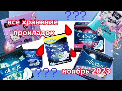 Видео: ВСЕ ХРАНЕНИЕ прокладок за ноябрь 2023😱🩸/ МНОГО НОВИНОК/ ОТЗЫВЫ/ #месячные