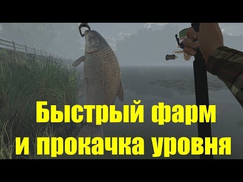 Видео: Fishing Planet - фарм денег и быстрая прокачка с 5 до 15 уровня