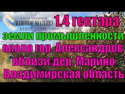 Видео: Продаётся земельный участок промназначения 1.4 гектар около города Александров, вблизи дер. Марино