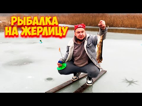 Видео: ЗИМНЯЯ РЫБАЛКА на ЖЕРЛИЦЫ / ПЕРВЫЙ ЛЕД
