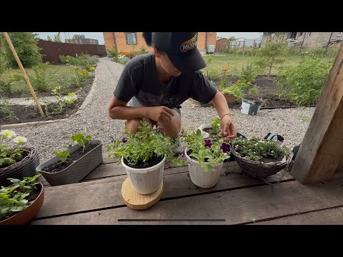 Видео: Влог домашний / загородный / Пришло время перемен