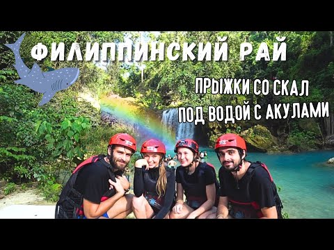Видео: ФИЛИППИНЫ: кайф на острове СЕБУ // акулы и каньонинг