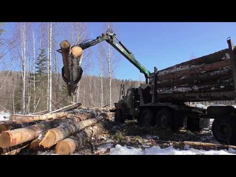 Видео: Погрузка ёлки Атлант С-90 Урал лесовоз
