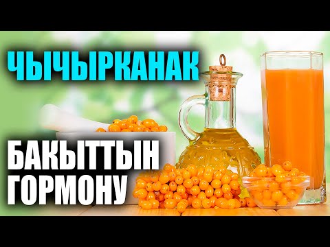 Видео: ОБЛЕПИХА – ГОРМОН СЧАСТЬЯ / УДИВИТЕЛЬНО / ПОЛЕЗНЫЕ СОВЕТЫ